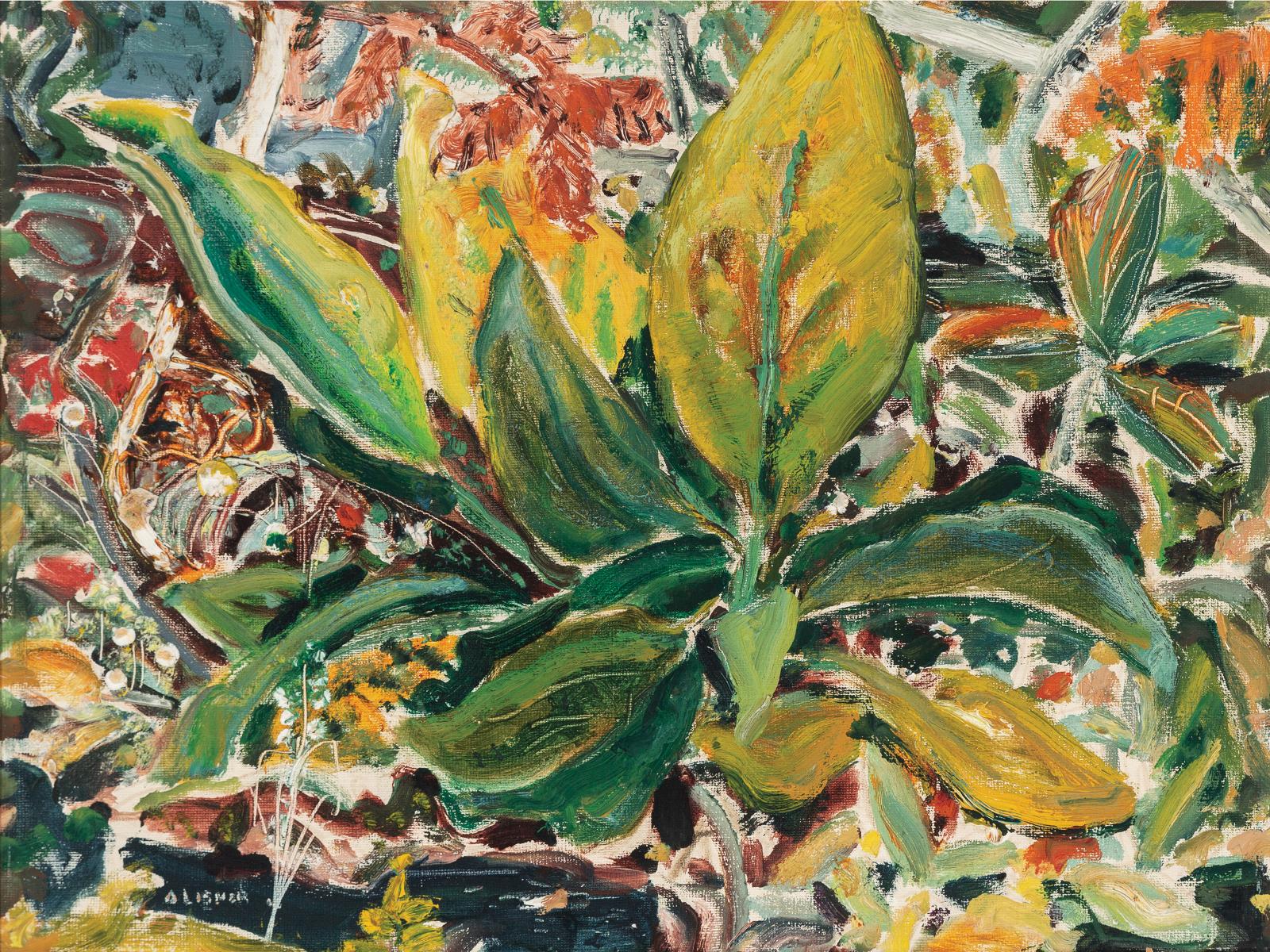 Arthur Lismer (1885-1969) - Skunk Cabbage, B.C., 1962