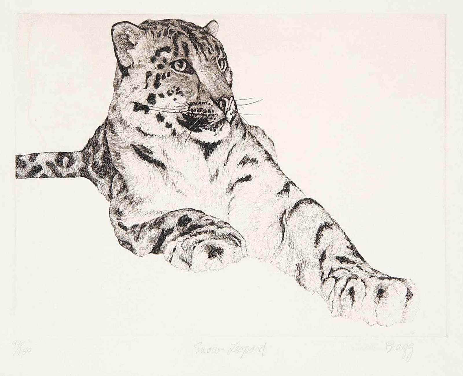 Atributted Charles Bragg - Snow Leopard  #94/150