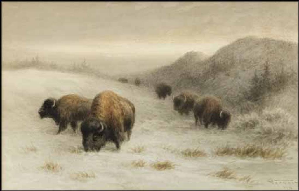Frederick Arthur Verner (1836-1928) - Grazing Buffalo