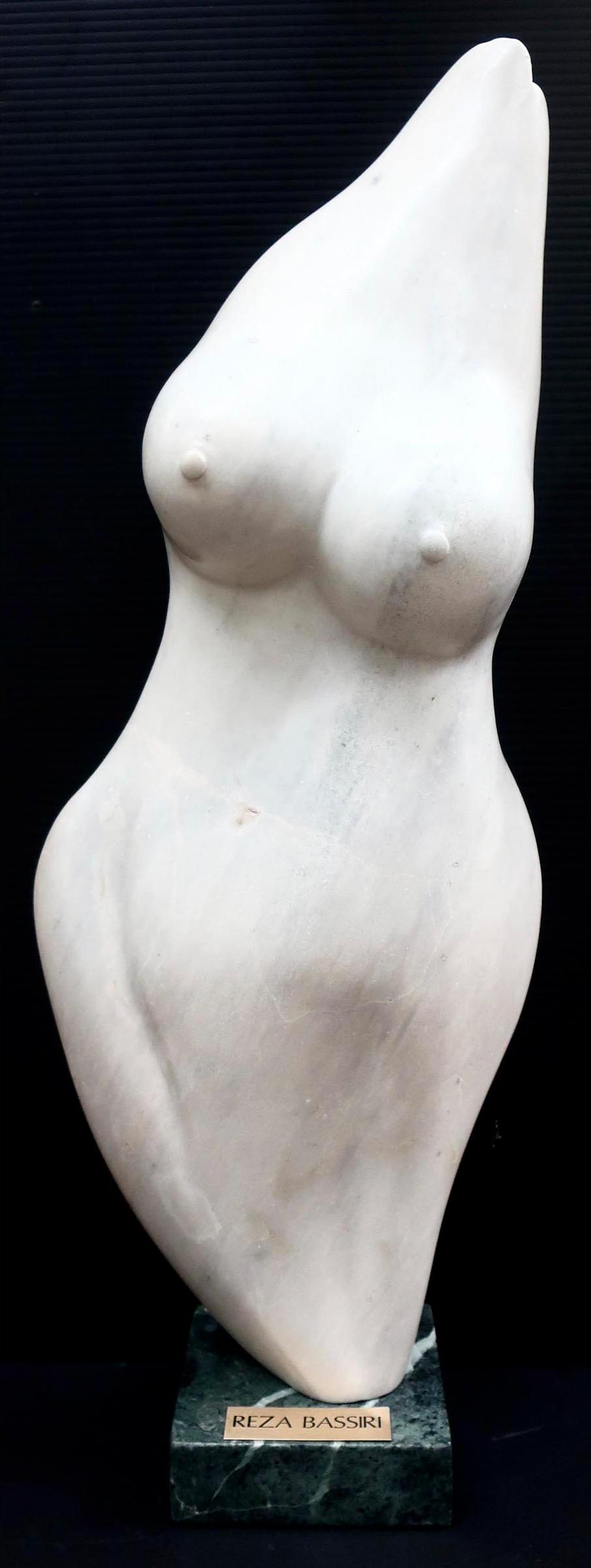 Reza Bassiri - Nude Torso