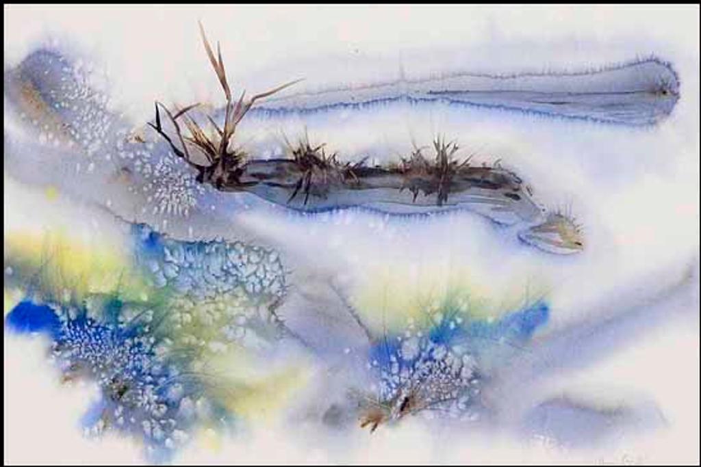 Ann Lee - Frozen Pond (01155/2013-2069)