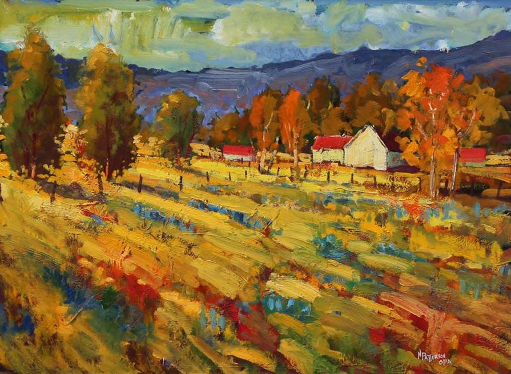 Neil Patterson (1947) - Homestead