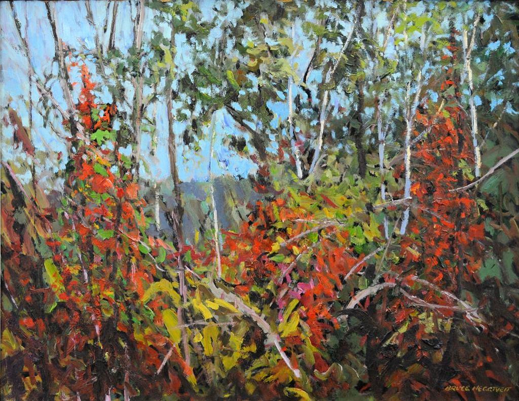 Bruce Allen Heggtveit (1917-2002) - Bush Whack & Red Vines, Gatineau Park