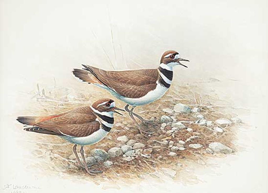 James Fenwick Lansdowne (1937-2008) - Killdeer Plover