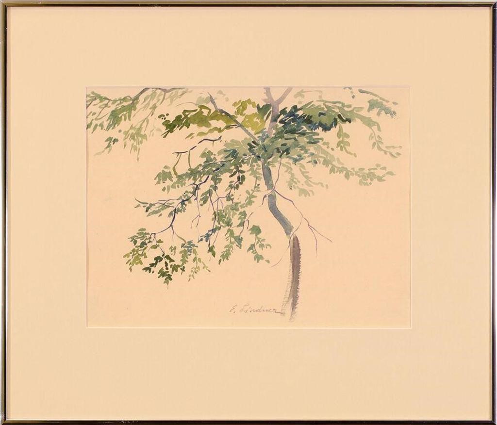 Ernest Friedrich Lindner (1897-1988) - Untitled, Tree Branch