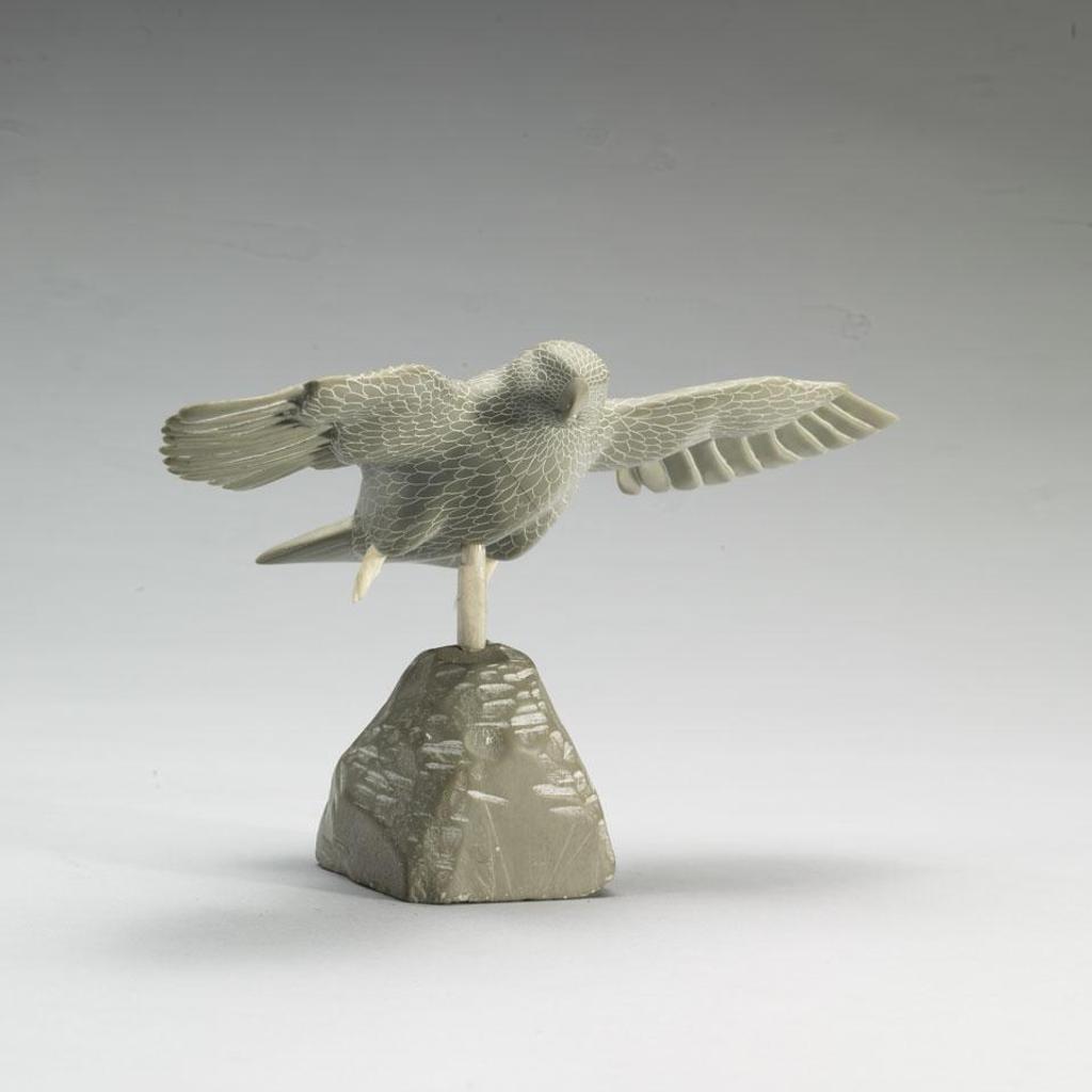 Isaac Sala (1969) - Falcon In Flight