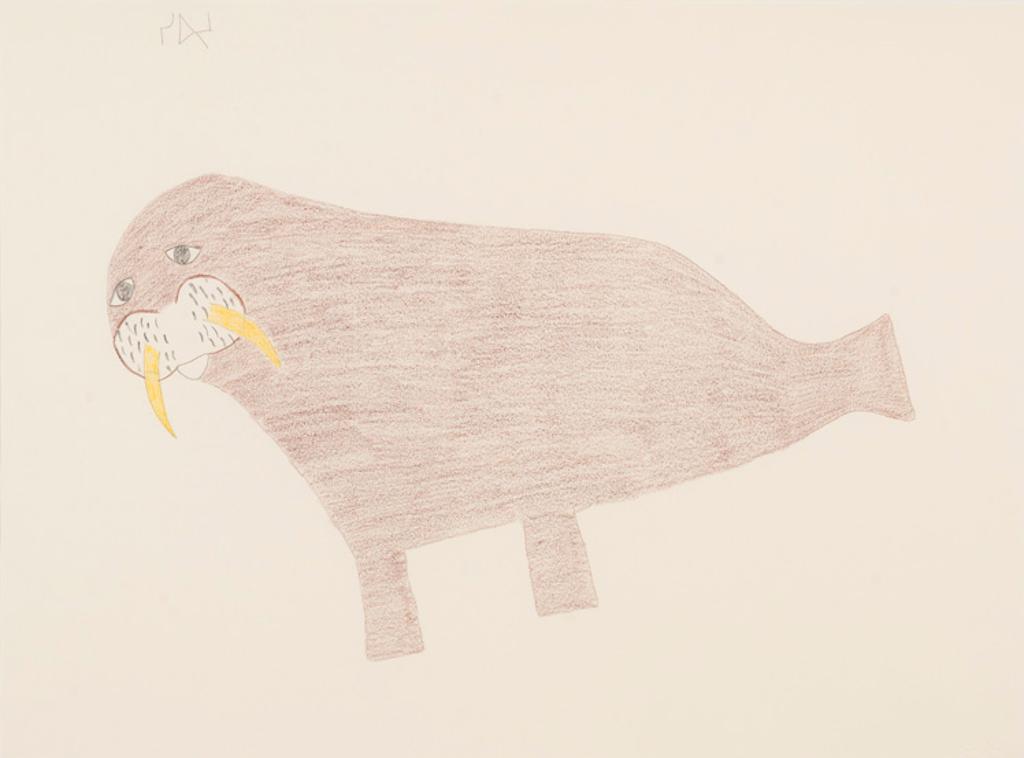 Sheojuk Etidlooie (1932-1999) - Baby Walrus