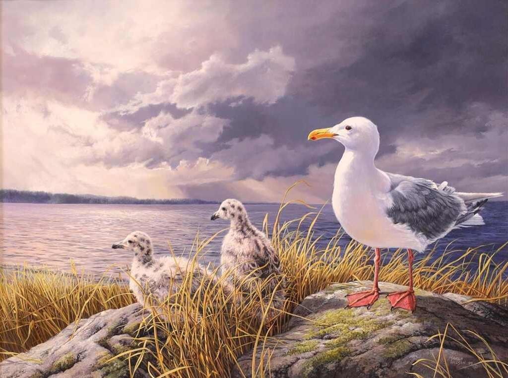 Marla Wilson (1945) - Glaucous-Winged Gull; 1989