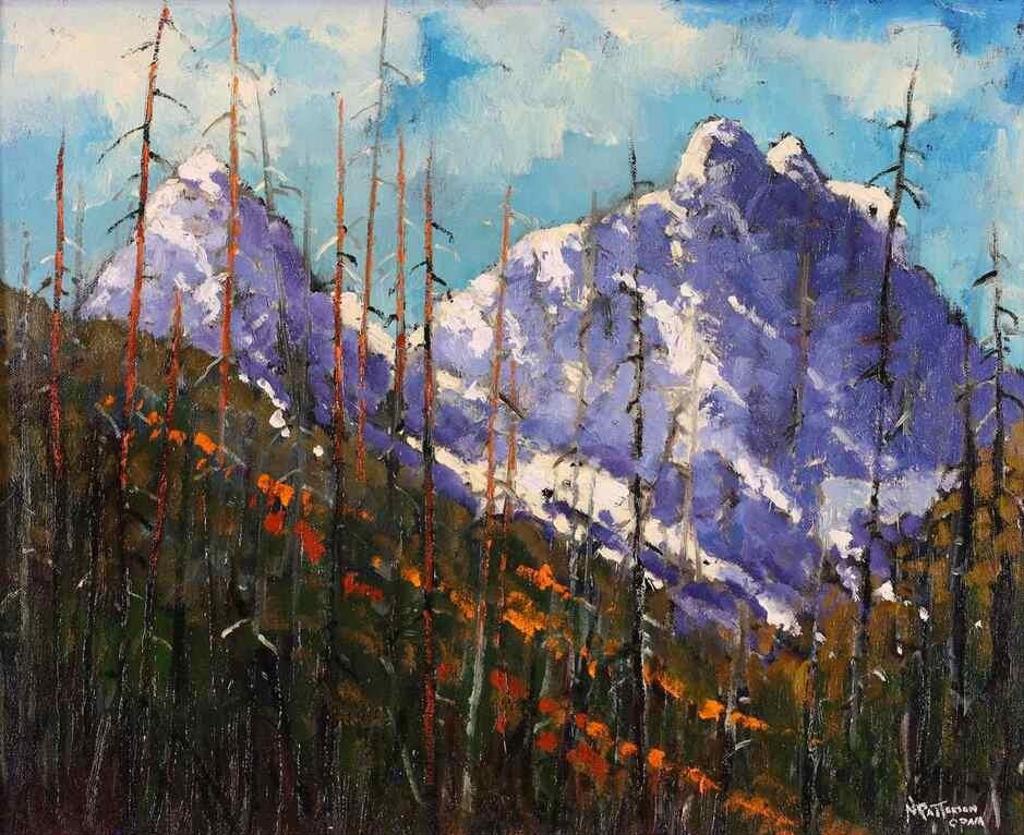Neil Patterson (1947) - Verendrye Mt