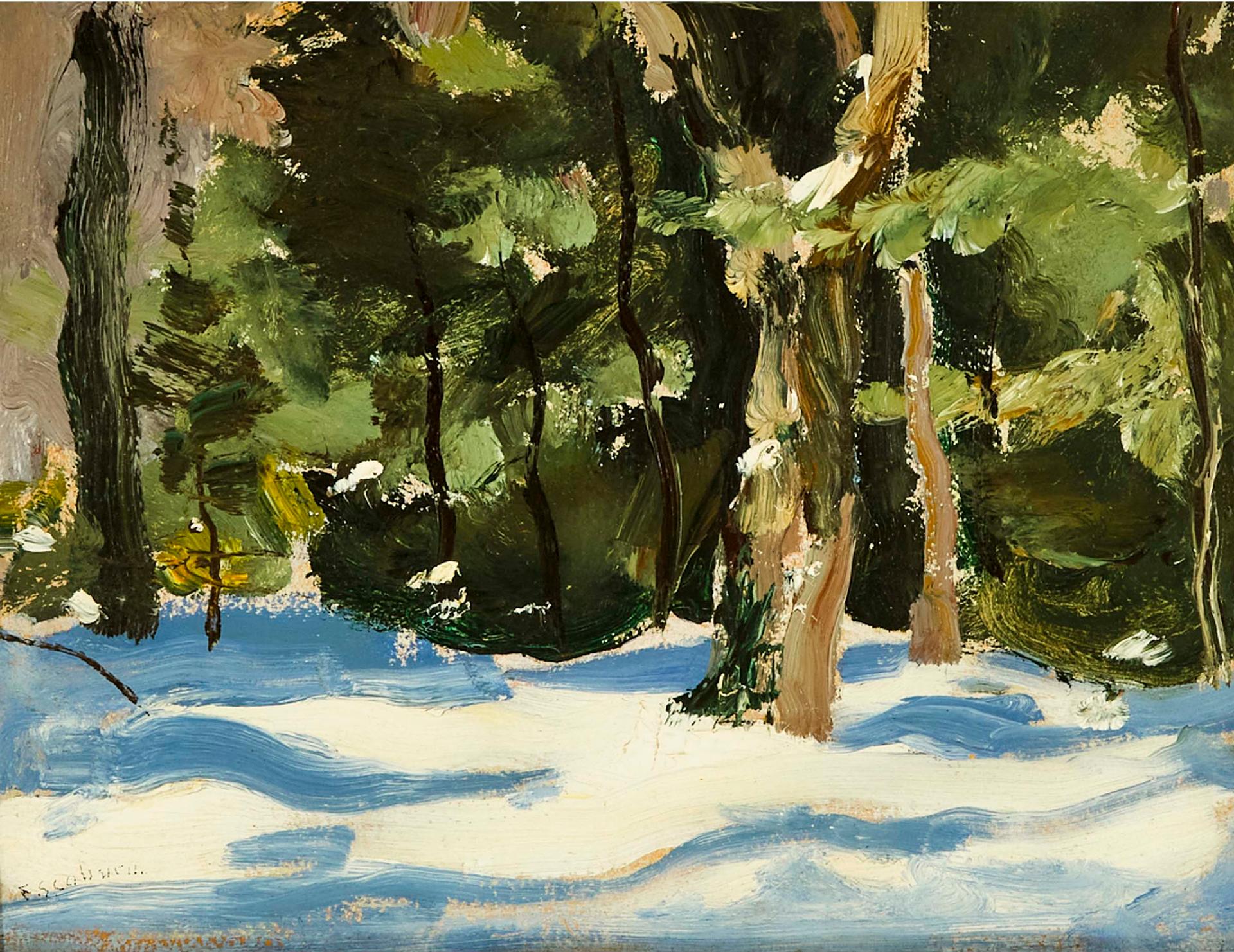 Frederick Simpson Coburn (1871-1960) - Winter Sunlight At The Forest Edge