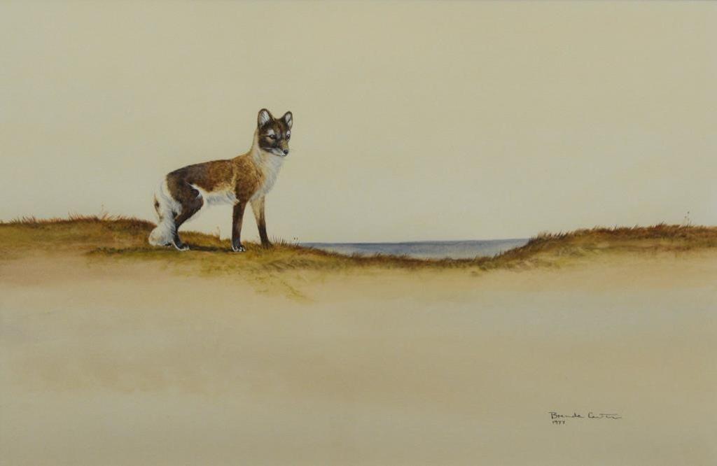 Brenda Cartier - Prairie Fox