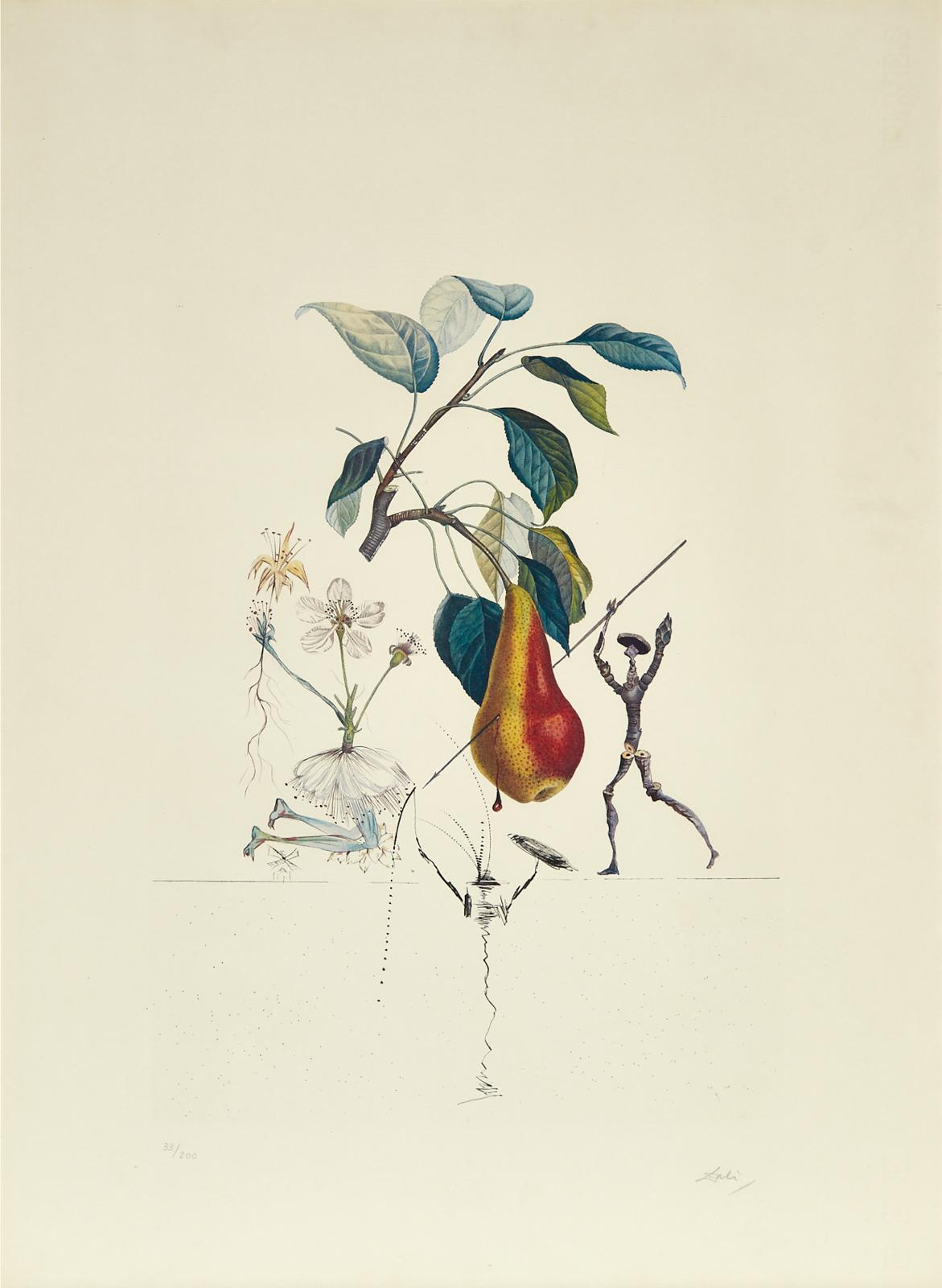 Salvador Dalí (1904-1989) - Poire Don Quixote (Pear), From Flordali (Les Fruits), 1969 [field, 69-Ii.H]