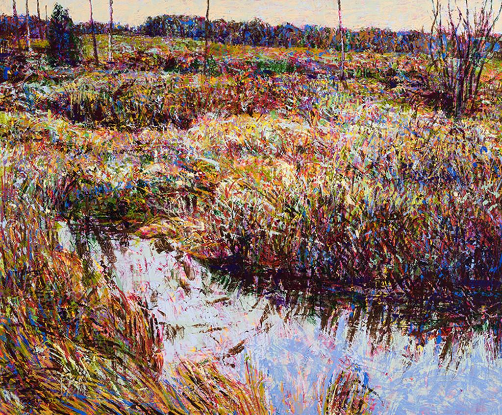 Brent McIntosh (1959) - Marsh Near the Farm