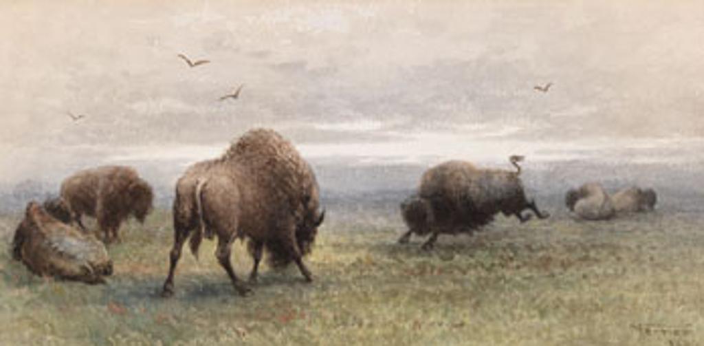 Frederick Arthur Verner (1836-1928) - Buffalo, Morning, Spring Time
