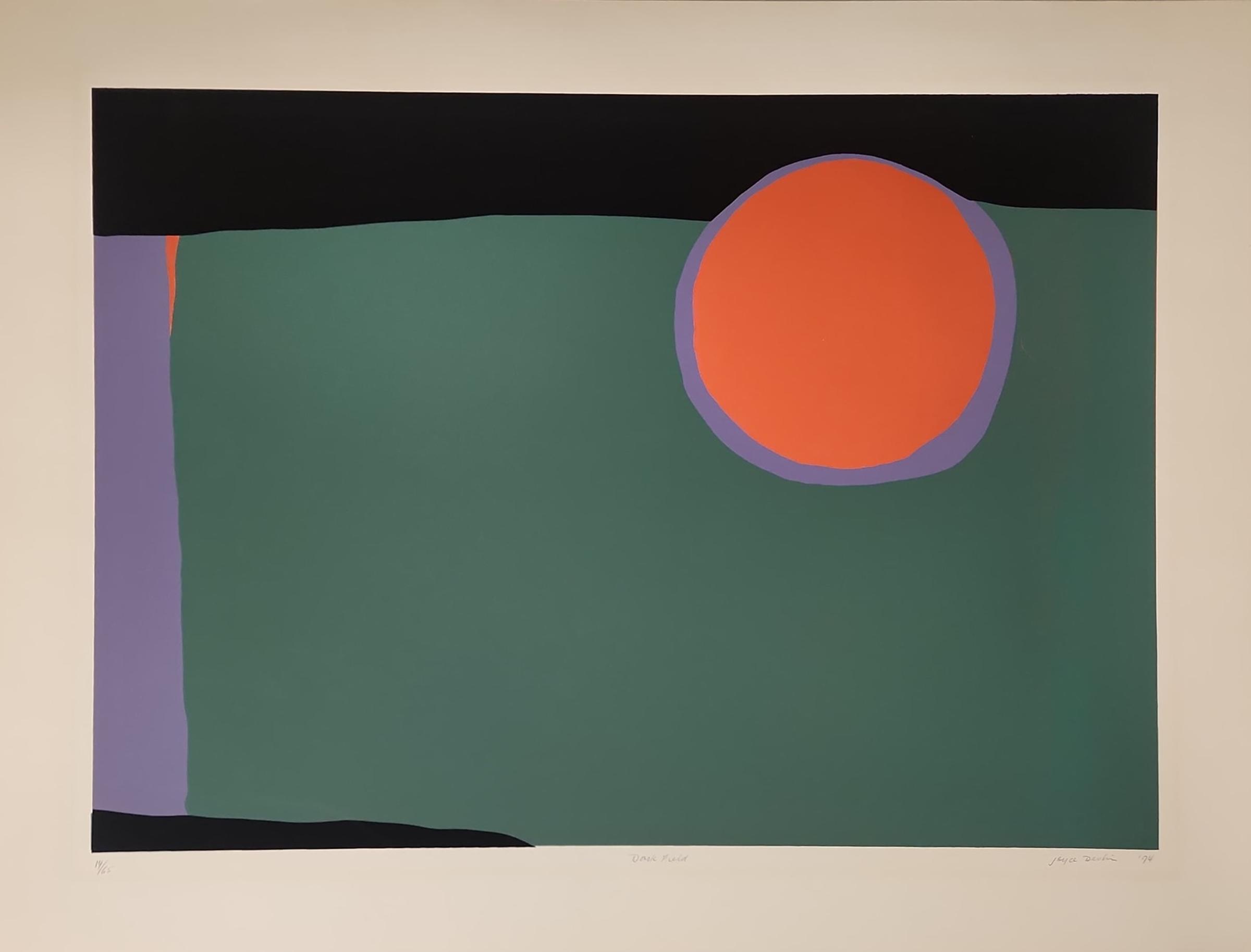 Joyce Frances Devlin (1932) - Dark Field, 1974