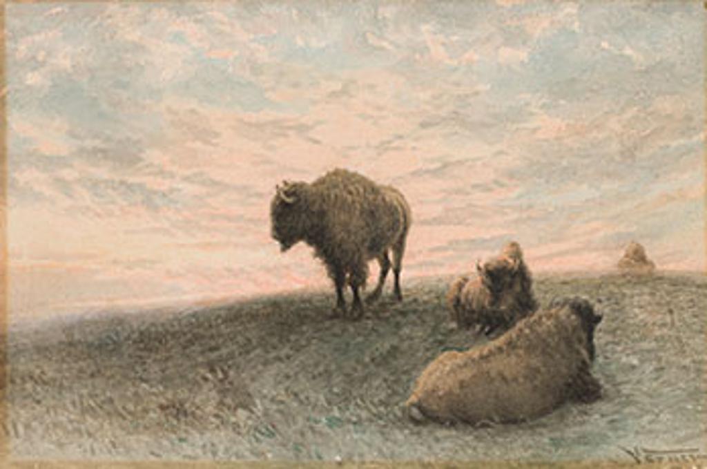 Frederick Arthur Verner (1836-1928) - Buffaloes at Sunset
