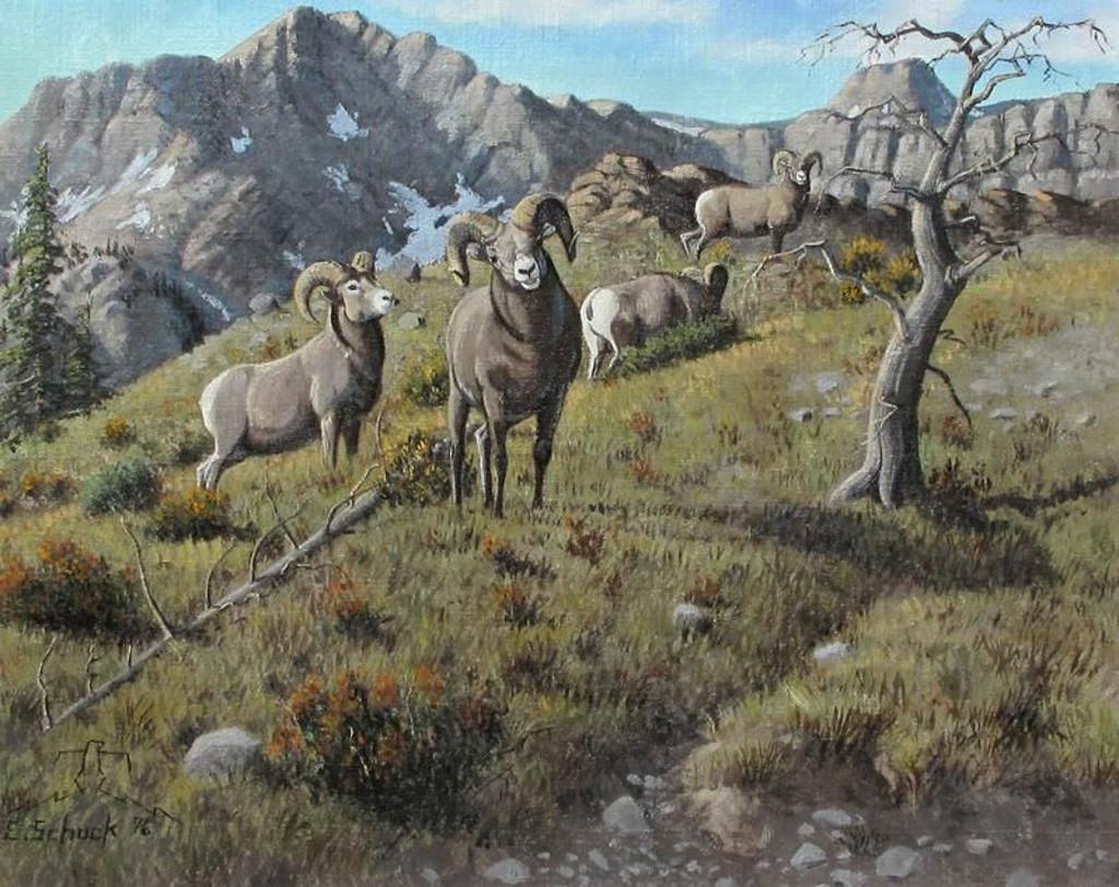 Elmer Schock - Bighorn Sheep