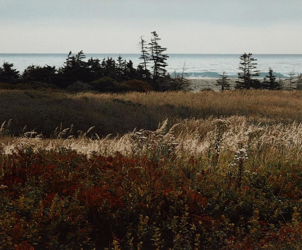 Richard Thomas Davis (1947) - Hartling Bay