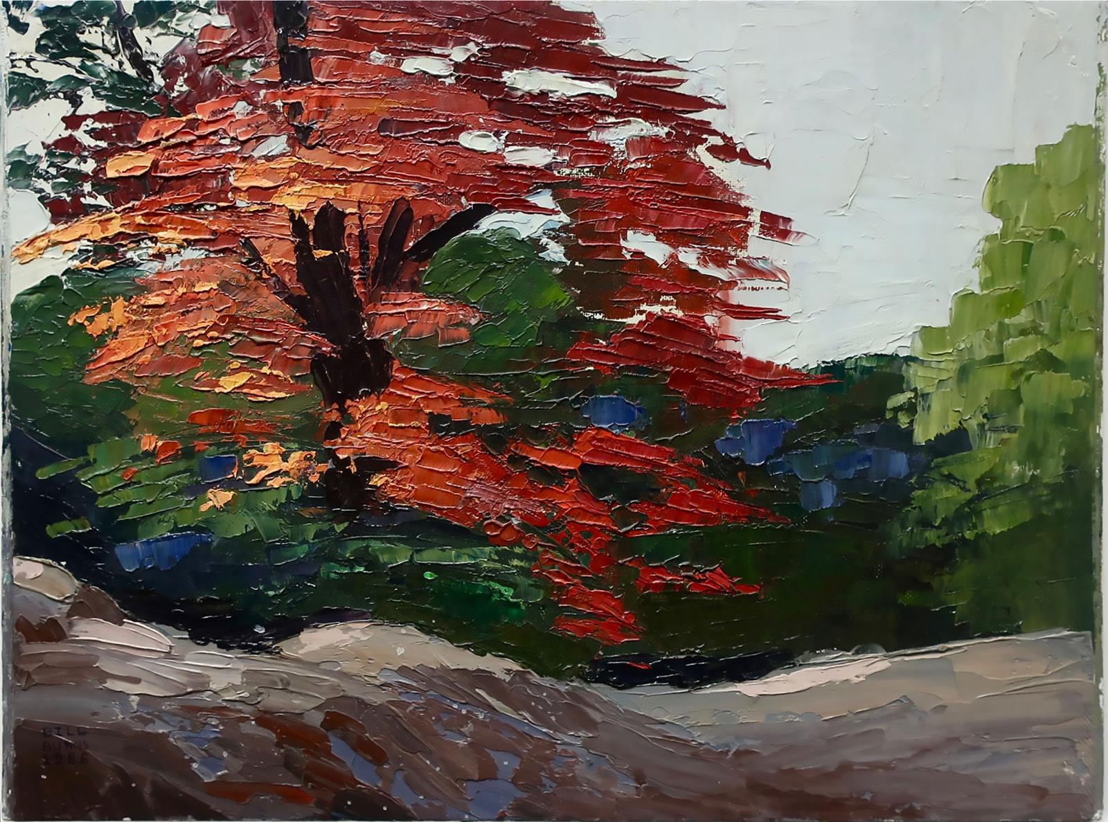 Bill Burns (1960) - Untitled (The Maple)