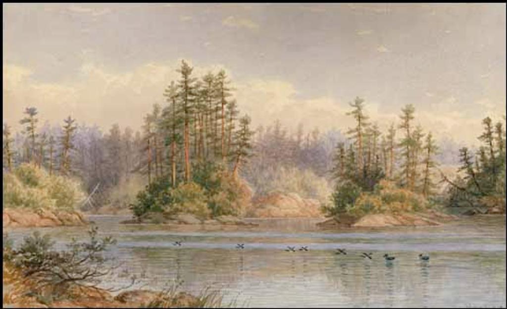 Frederick Arthur Verner (1836-1928) - Loons, Lake of the Woods