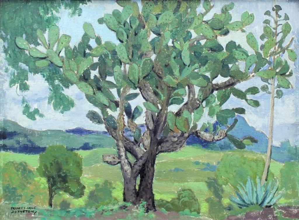 Frances Anne Johnston (1910-1987) - Catus Tree, Mexico