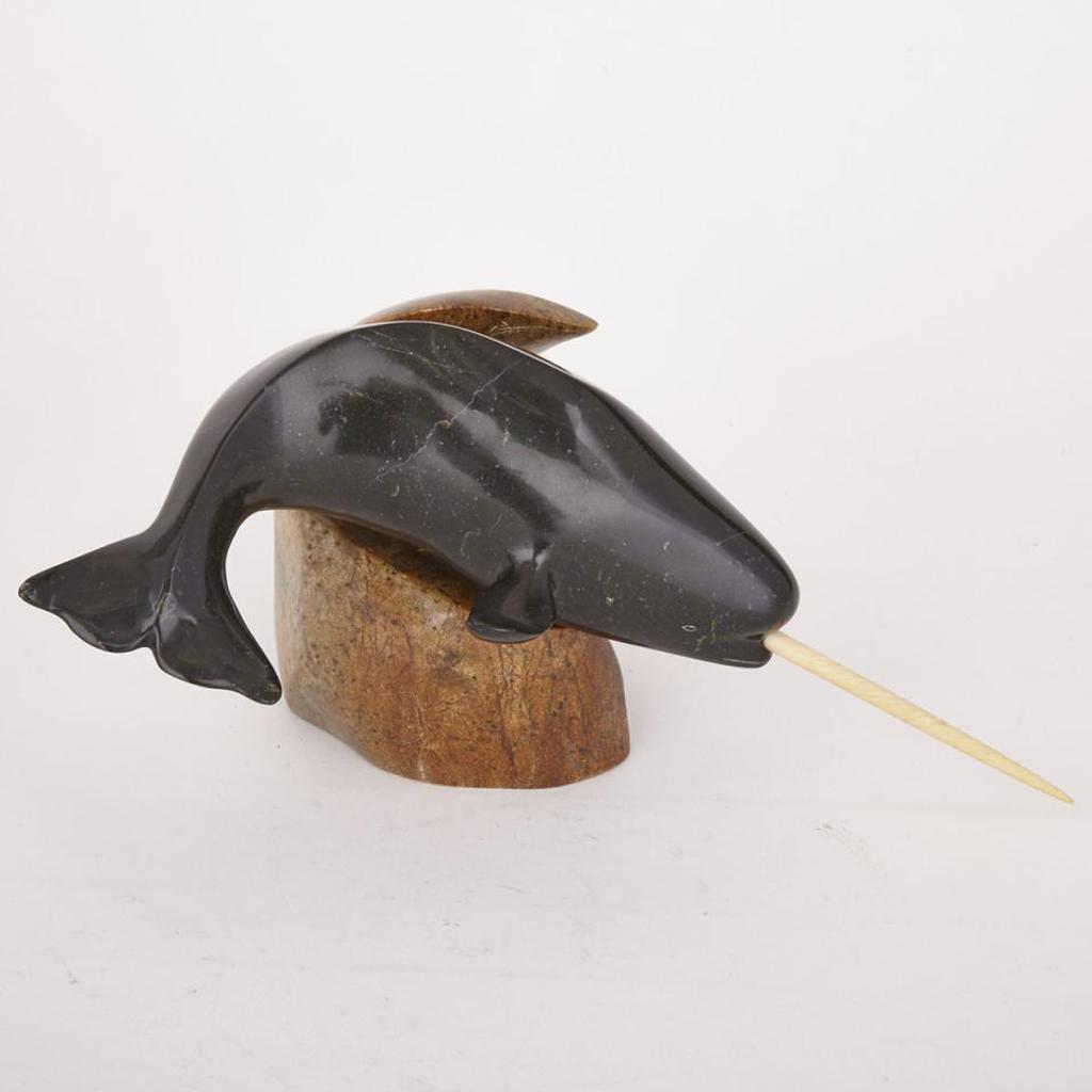 Malle - Swimming Narwhal