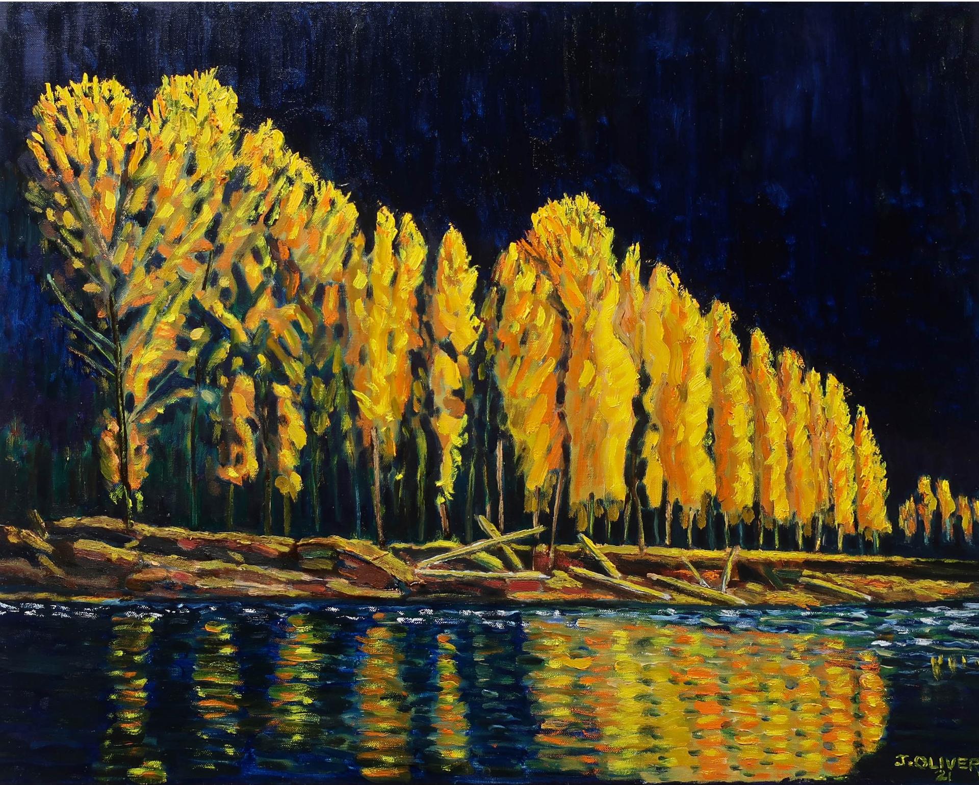 John Oliver (1939) - Night On The Saugeen River