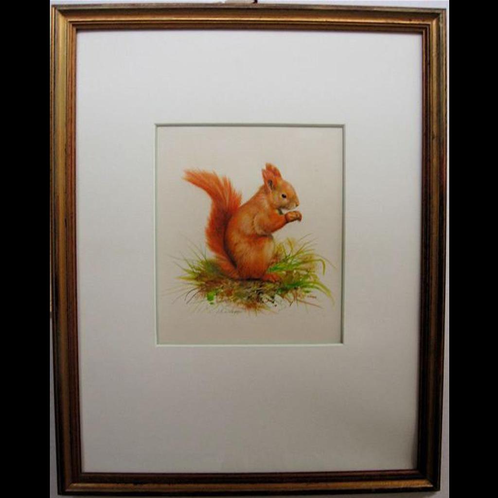 L. Knolkova - Red Squirrel