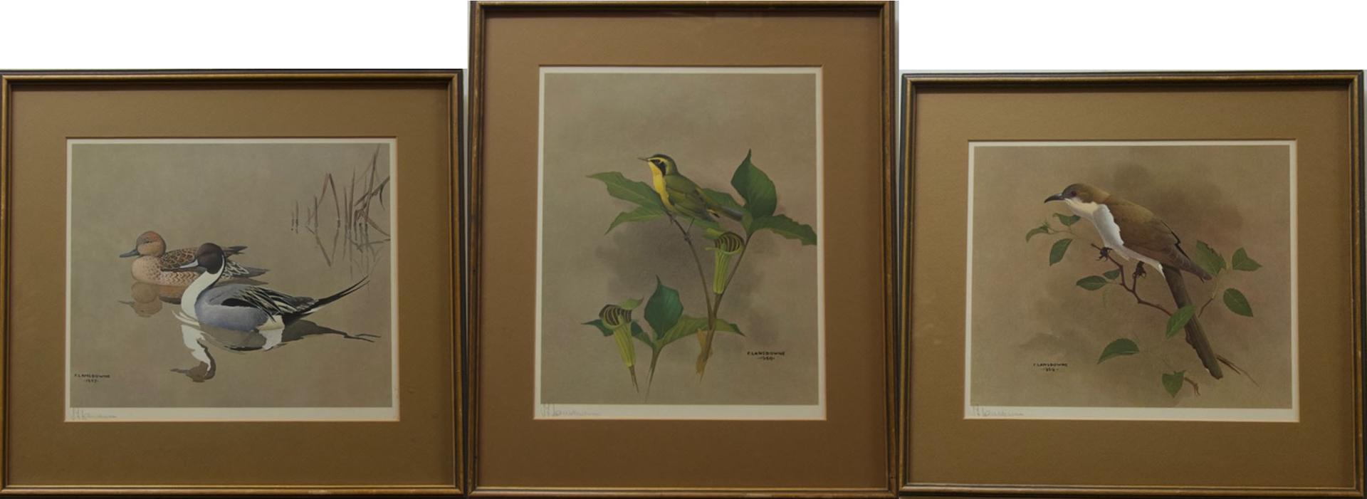 James Fenwick Lansdowne (1937-2008) - Bird Studies
