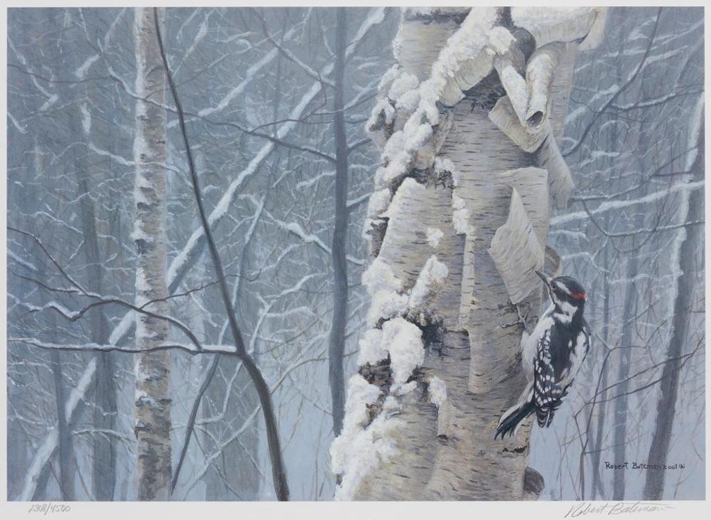 Robert Mclellan Bateman (1930-1922) - Hairy Woodpecker on Birch