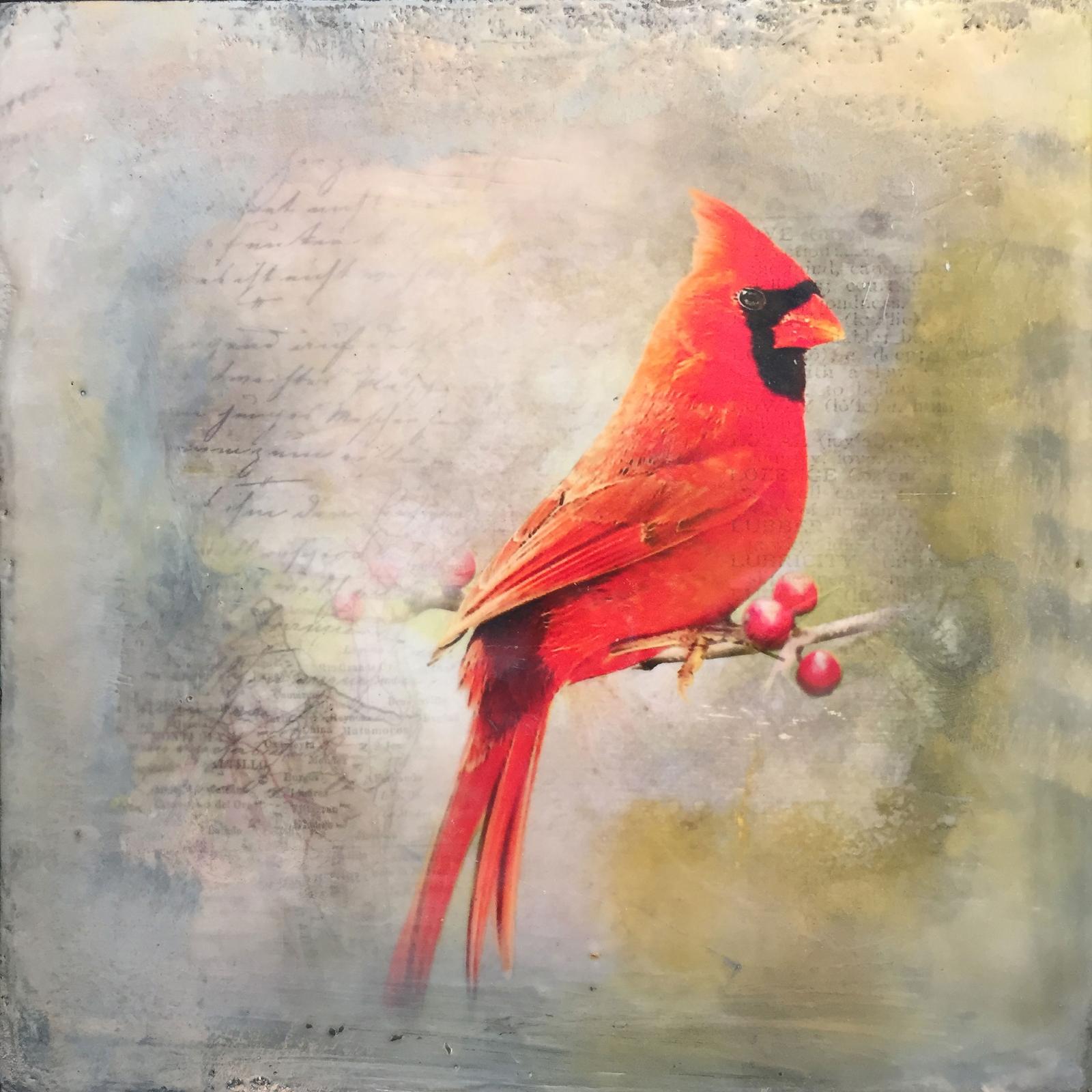 Joya Paul - Cardinal