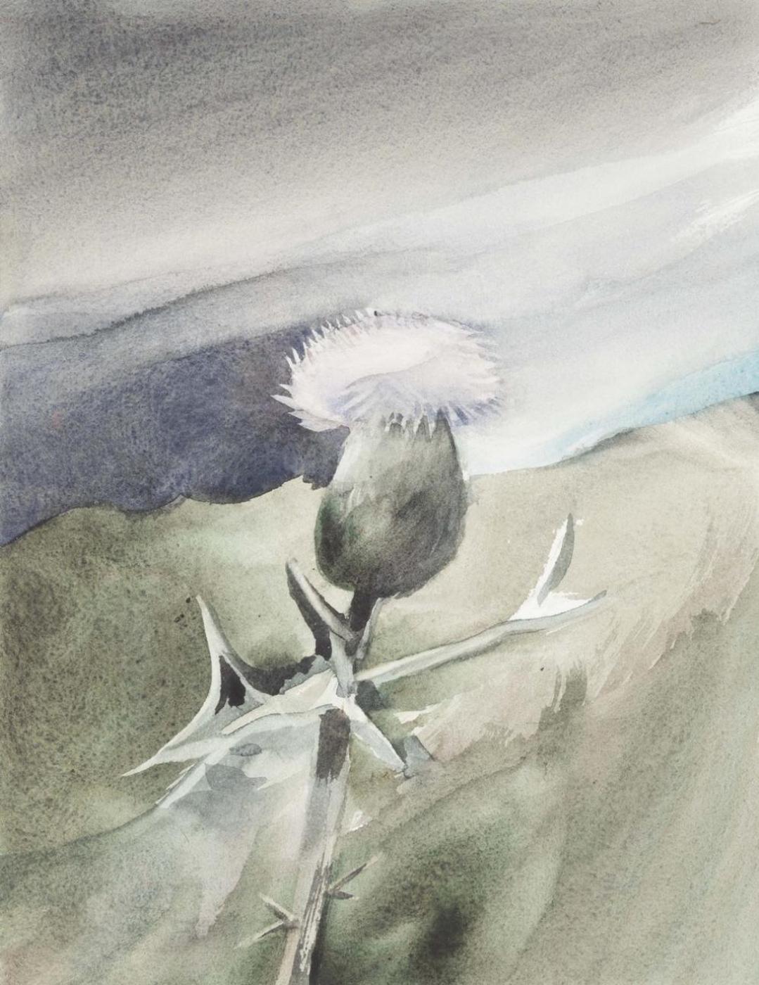 Norman Anthony (1928-2004) - Thistle