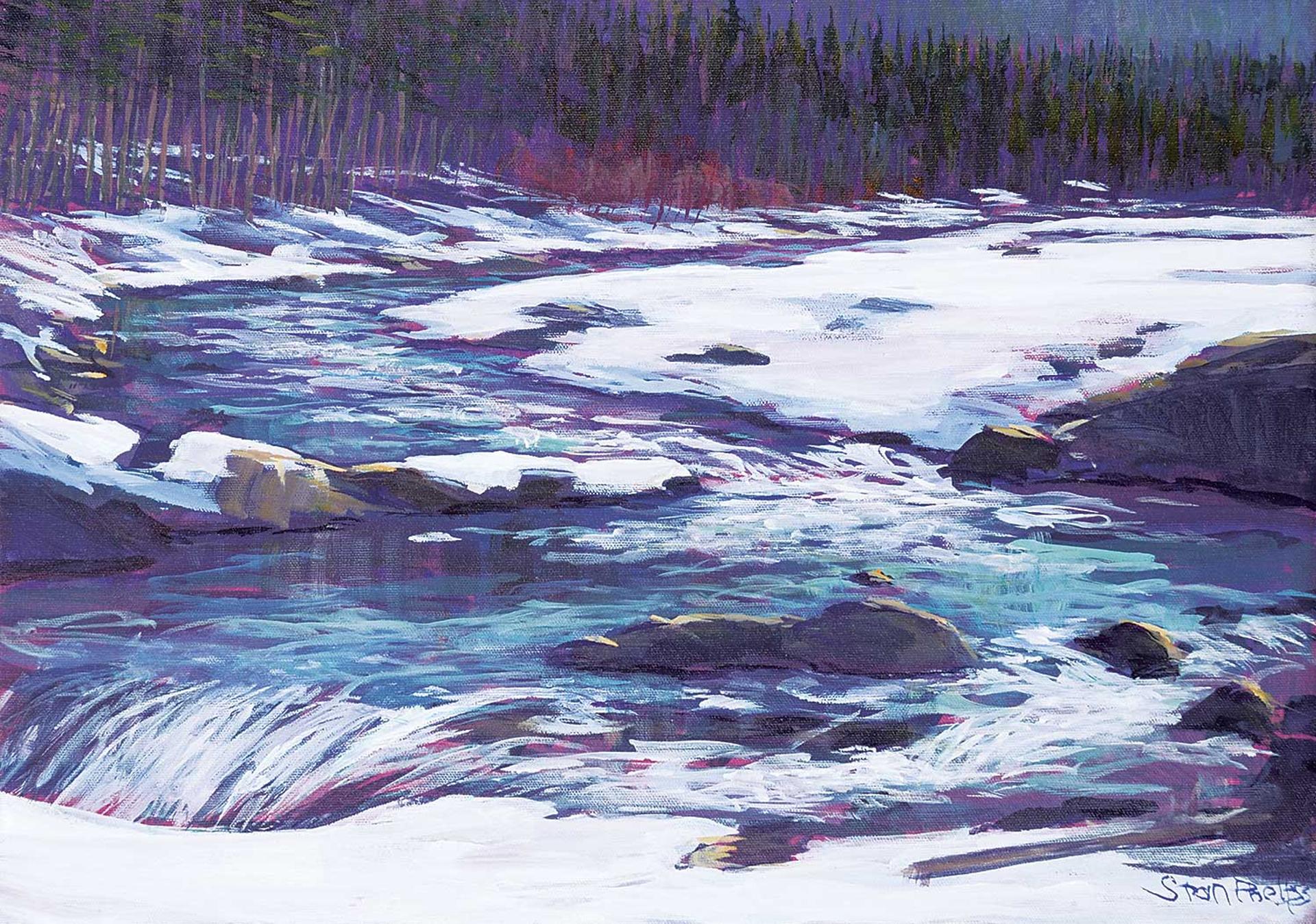 Stan Phelps (1949) - Above Elbow Falls