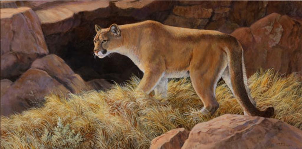 Isabel Levesque (1919-2012) - Lion of the Rockies (03227/520)
