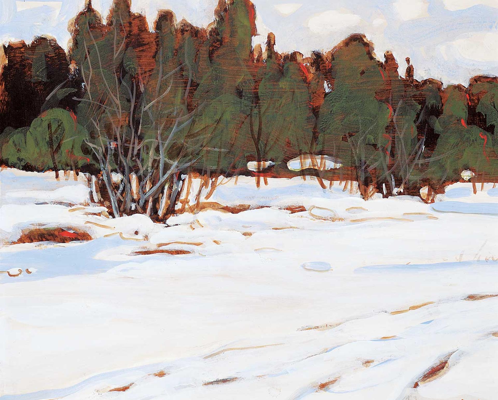Hans Herold (1925-2011) - Pine Forest, Waskesiu