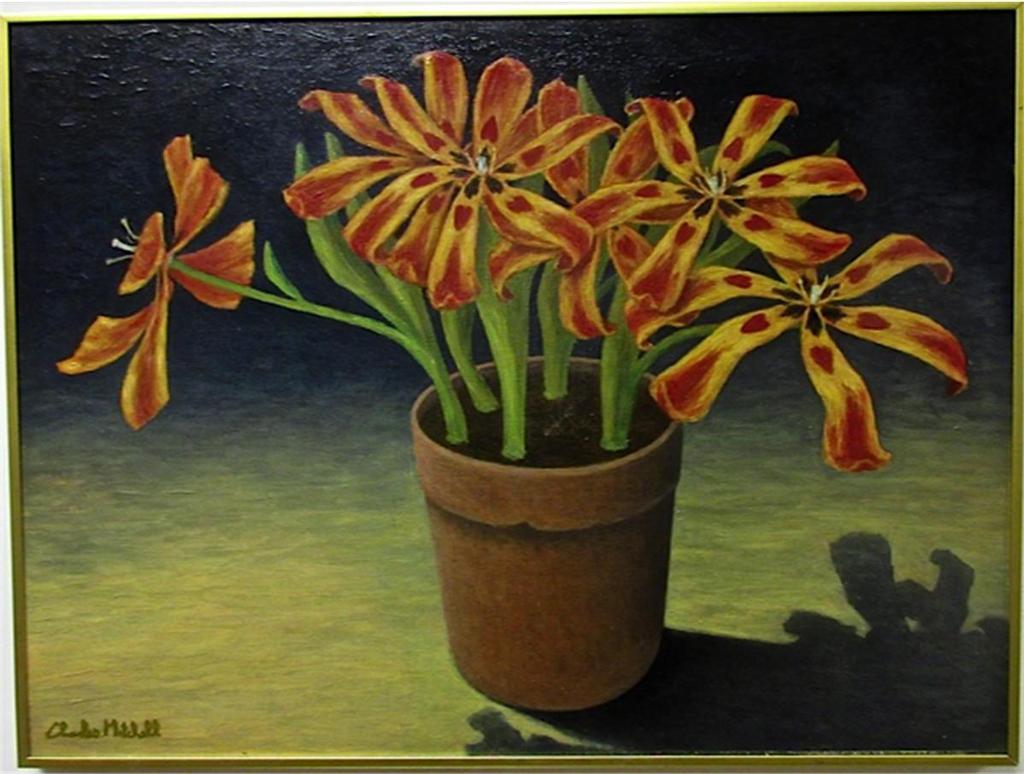 Charles Lewis Mitchell (1947) - Plant Life