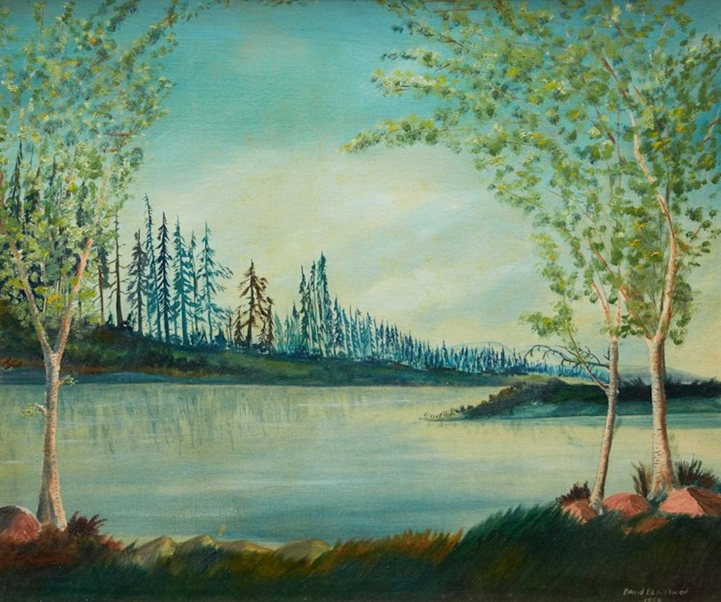 David Lloyd Blackwood (1941-2022) - Lake with Trees