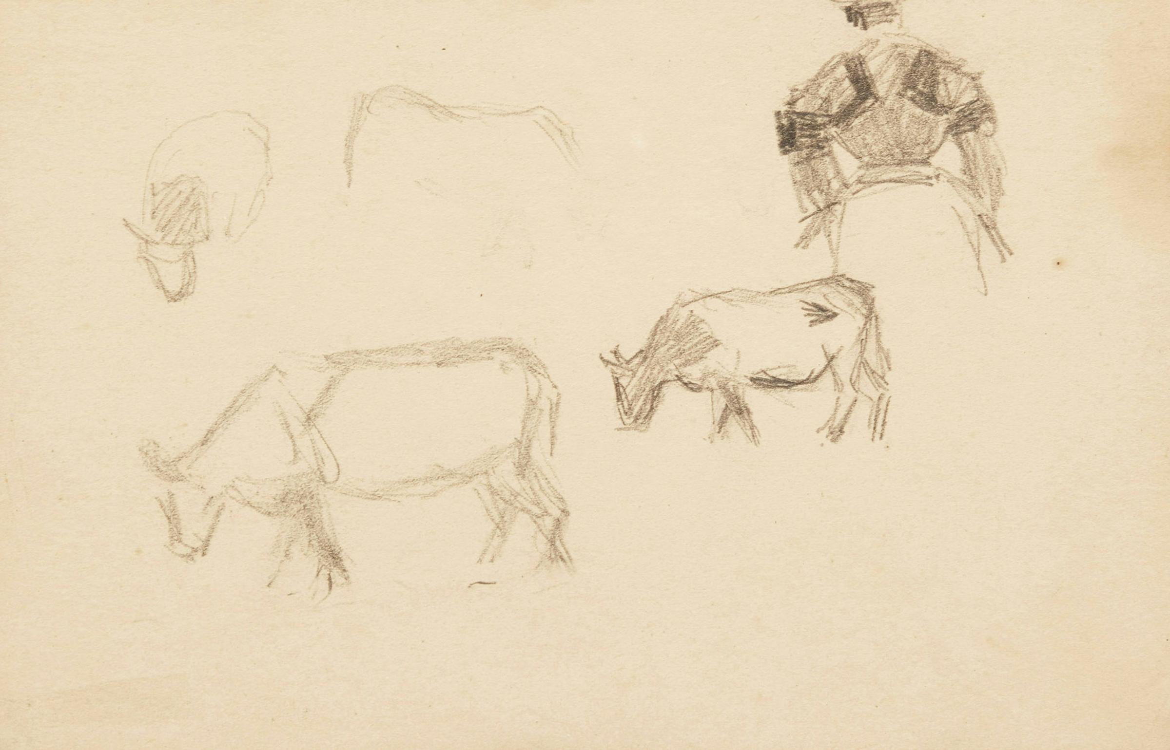 James Wilson Morrice (1865-1924) - Study of Cows Grazing