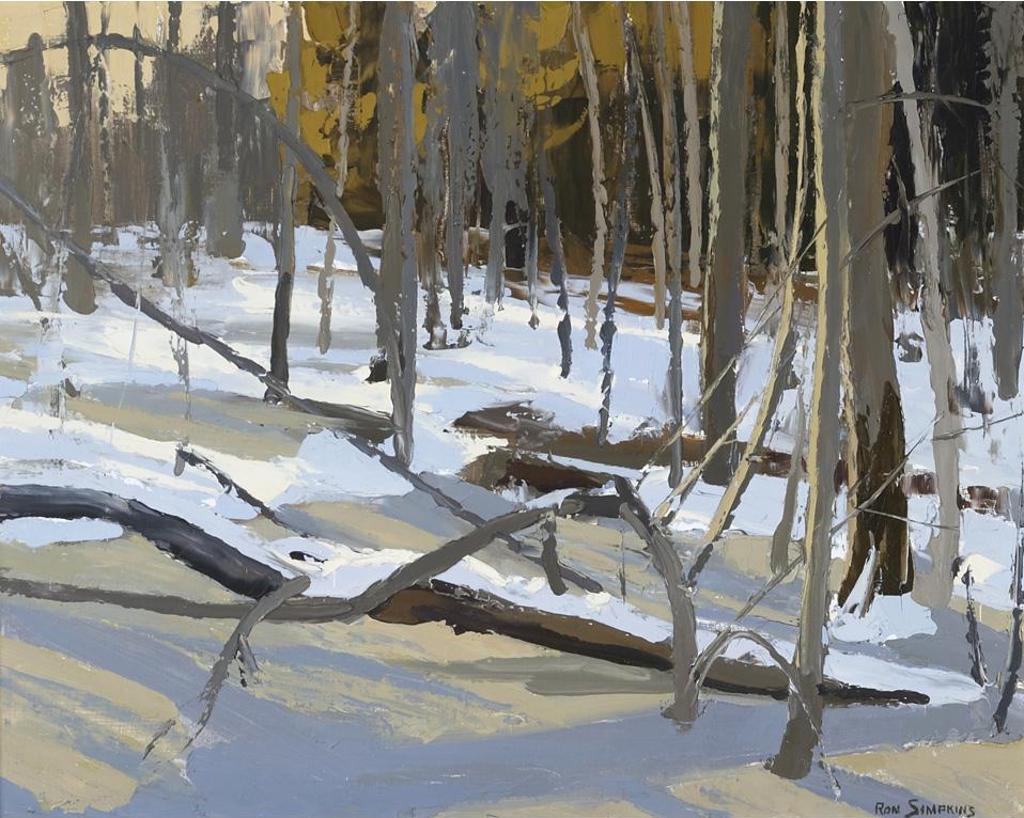 Ronald (Ron) Simpkins (1942-2008) - November Shadows On Ice, Ile Perrot, Que., Nov /69