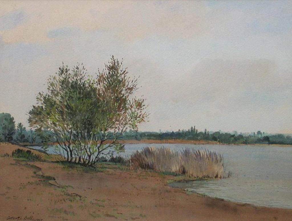 Arthur L. Bell - Frensham Pond