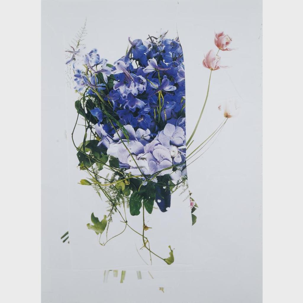 Paul Butler (1973) - Untitled (Flowers #3), 2005 (From The Series “Readymade”)