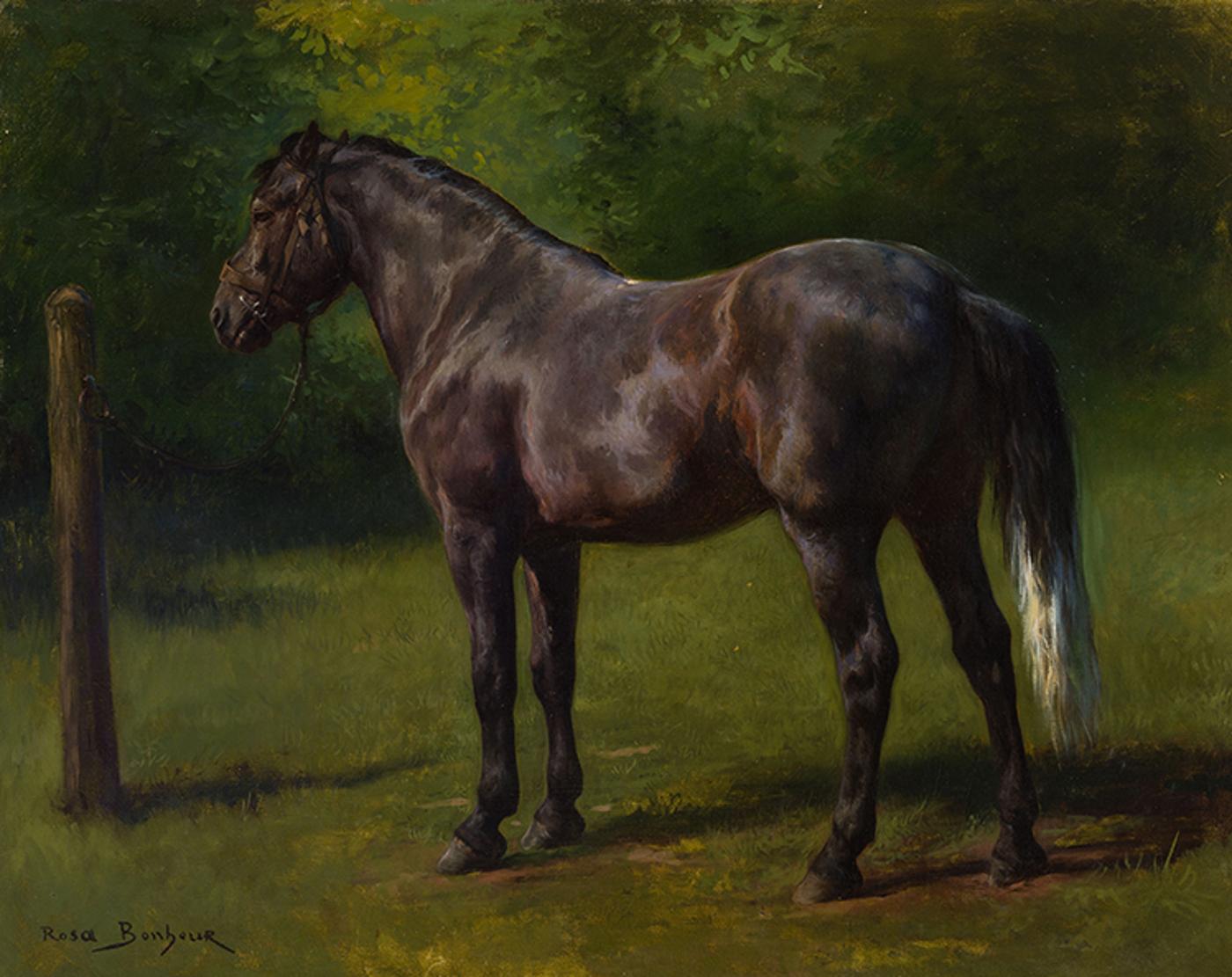 Rosa (Marie-Rosalie) Bonheur (1822-1899) - Étude de cheval brun