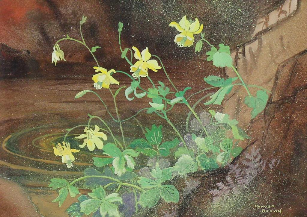 Annora Brown (1899-1987) - Yellow Columbine