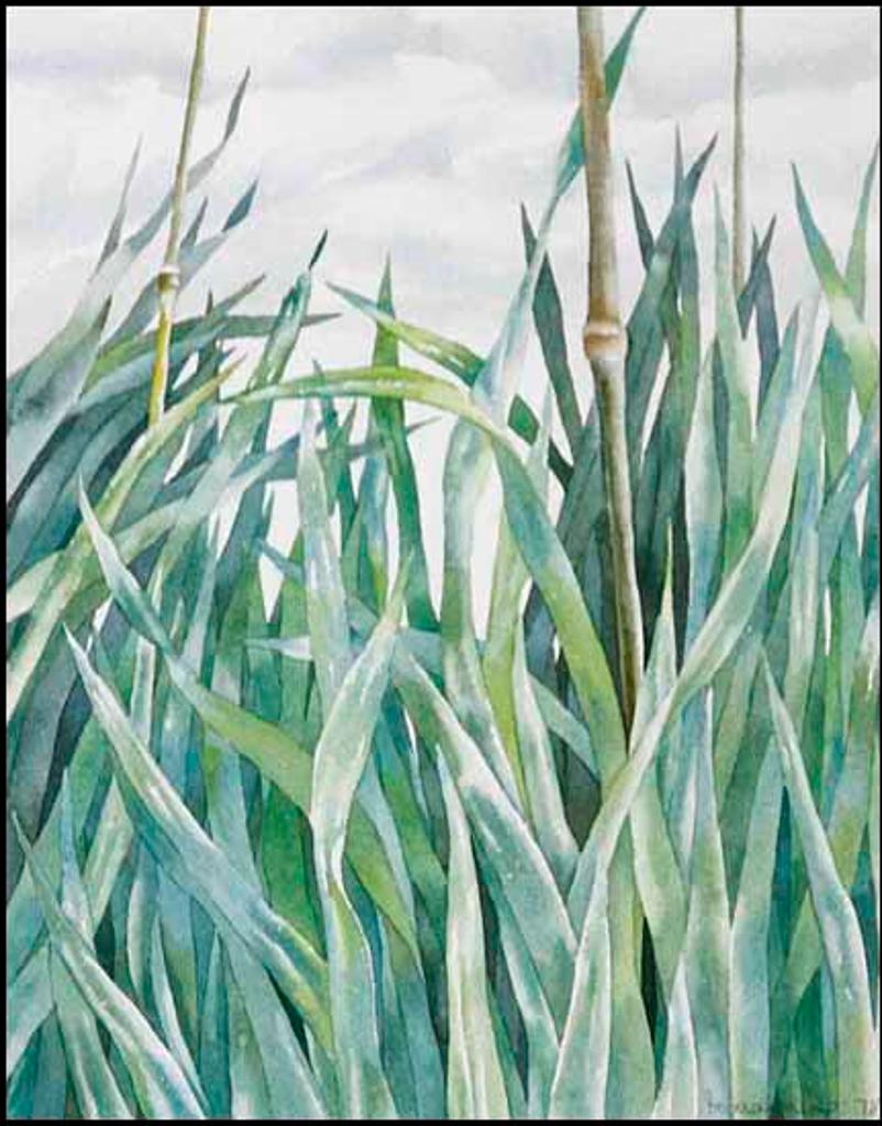 Jo Manning (1923-2022) - Grasses (with Bamboo) (00780/2013-582)