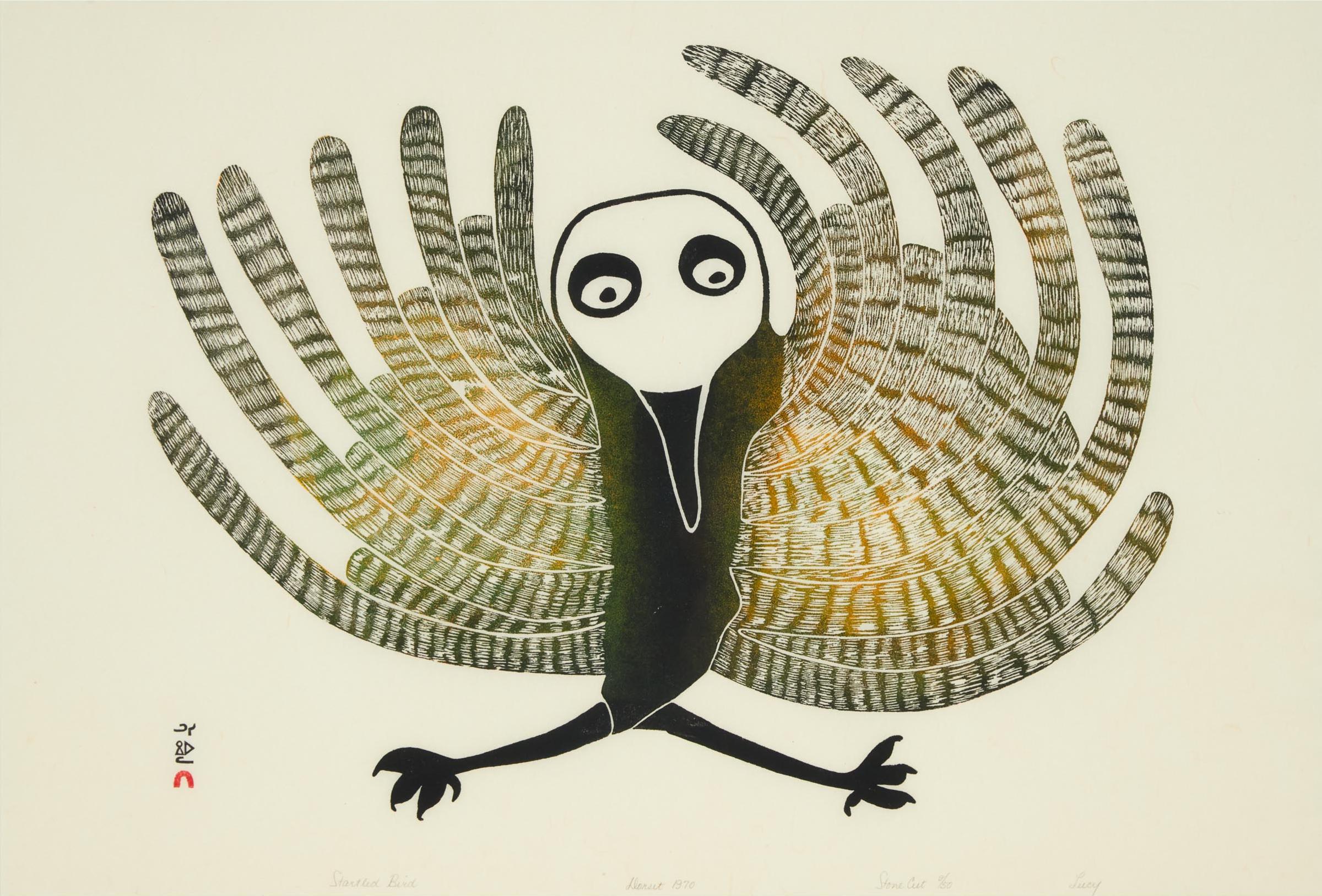 Lucy Qinnuayuak (1915-1982) - Startled Bird, 1970