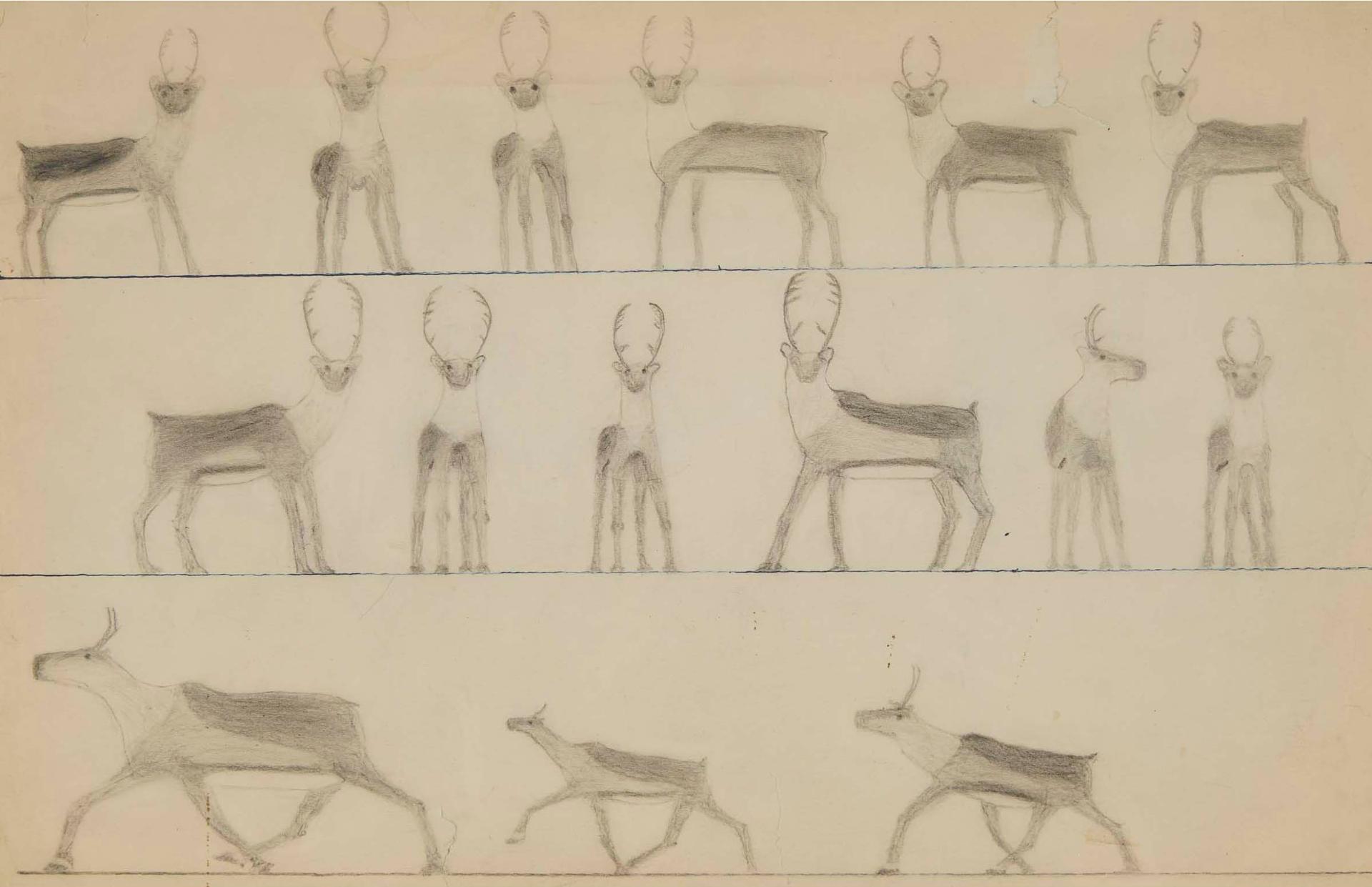 Aqjangajuk (Axangayu) Shaa (1937-2019) - Untitled (Caribou)