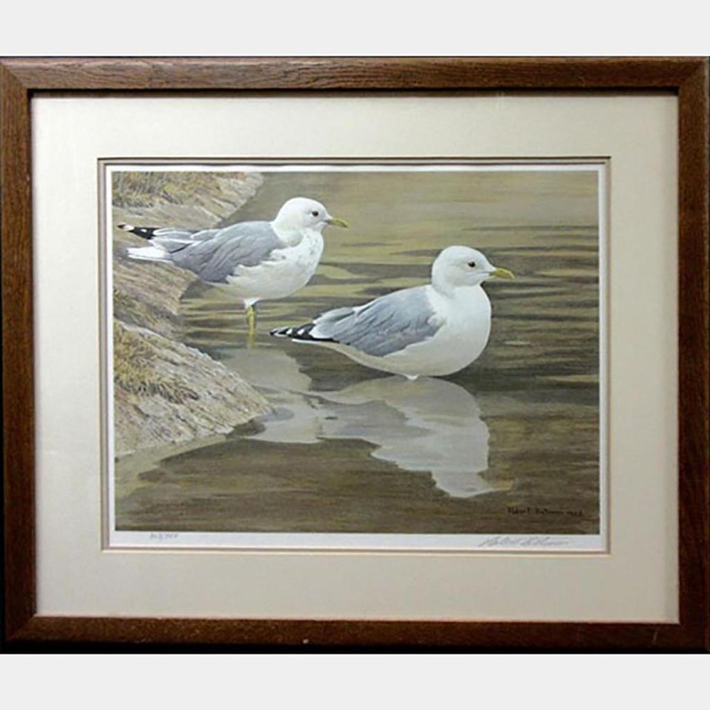 Robert Mclellan Bateman (1930-1922) - Entering The Water - Common Gulls