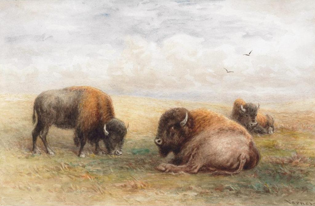 Frederick Arthur Verner (1836-1928) - Group Of Bison