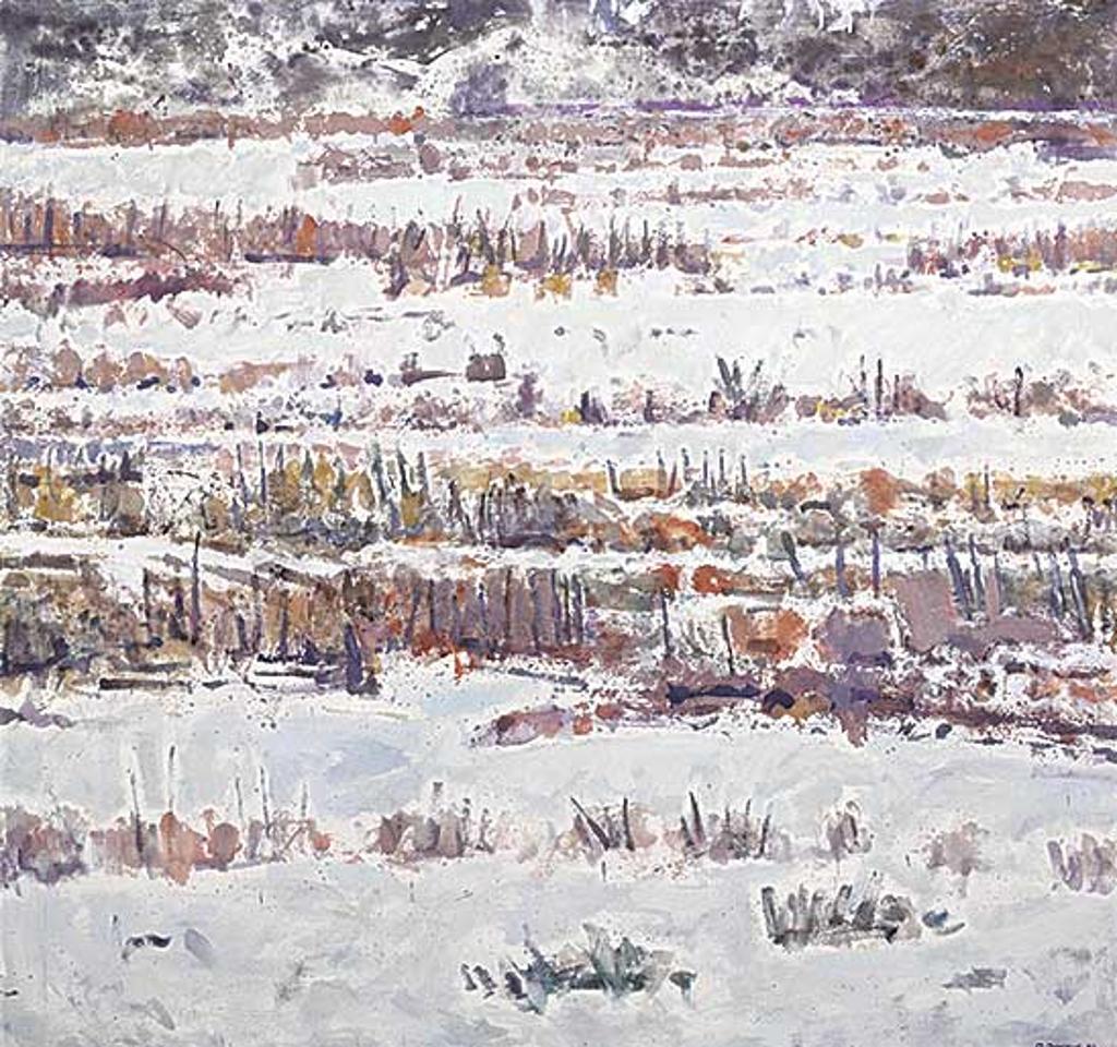 Michael Matthews (1954) - Columbia River Valley, Winter