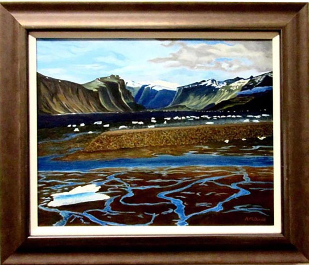 Rhonda Mcdonald - Untitled (Arctic Landscape)